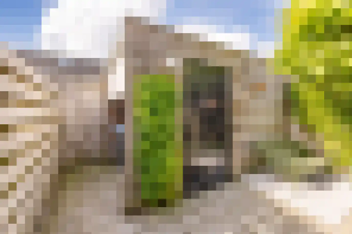 Amrum 16 Zaandam thumbnail 33