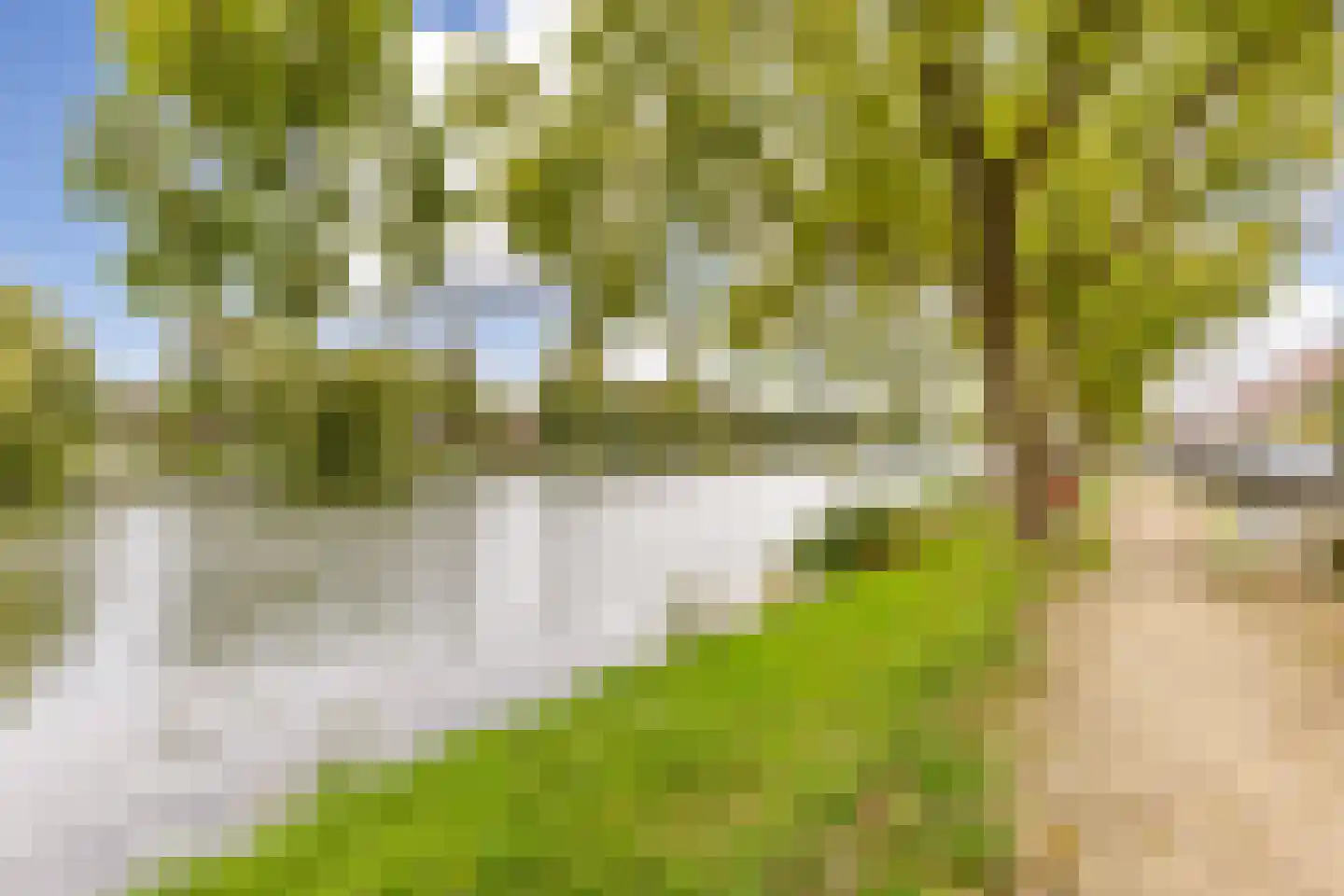 Amrum 16 Zaandam thumbnail 53