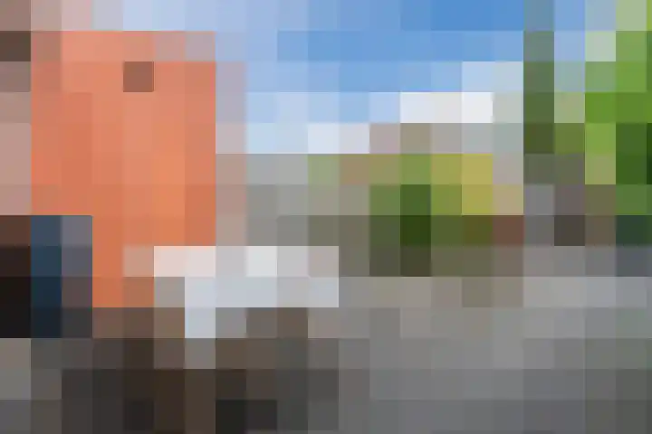 Amrum 33 Zaandam thumbnail 39