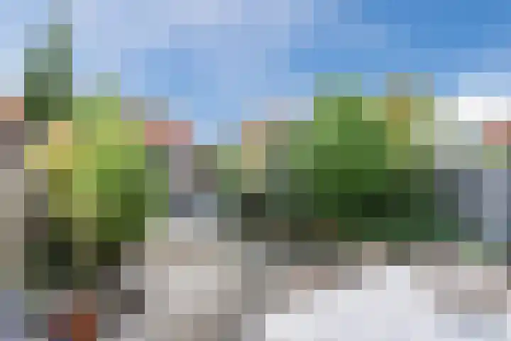 Amrum 33 Zaandam thumbnail 4