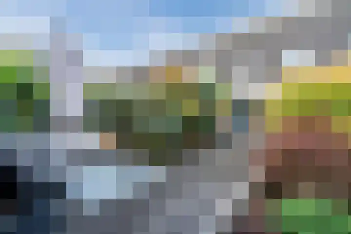 Amrum 33 Zaandam thumbnail 43