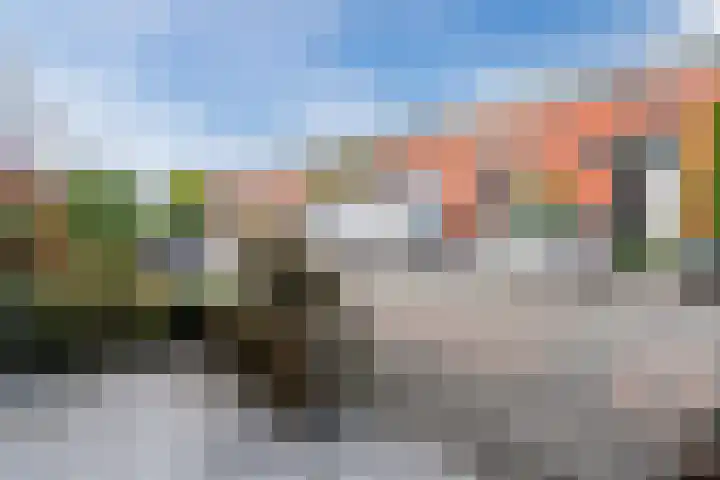 Amrum 33 Zaandam thumbnail 7