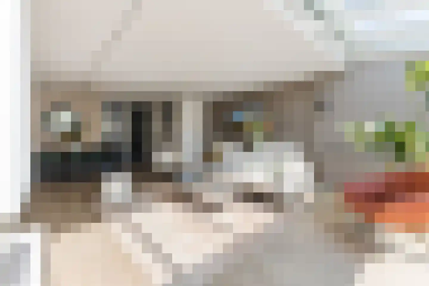 Amrum 40 Zaandam thumbnail 12