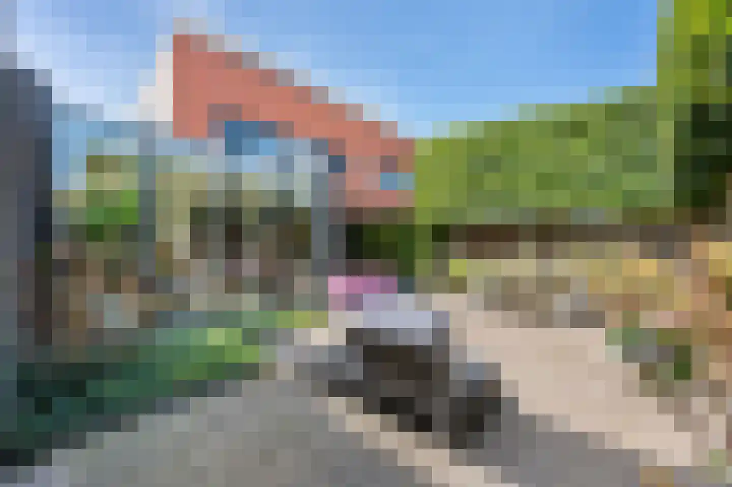 Amrum 63 Zaandam thumbnail 13