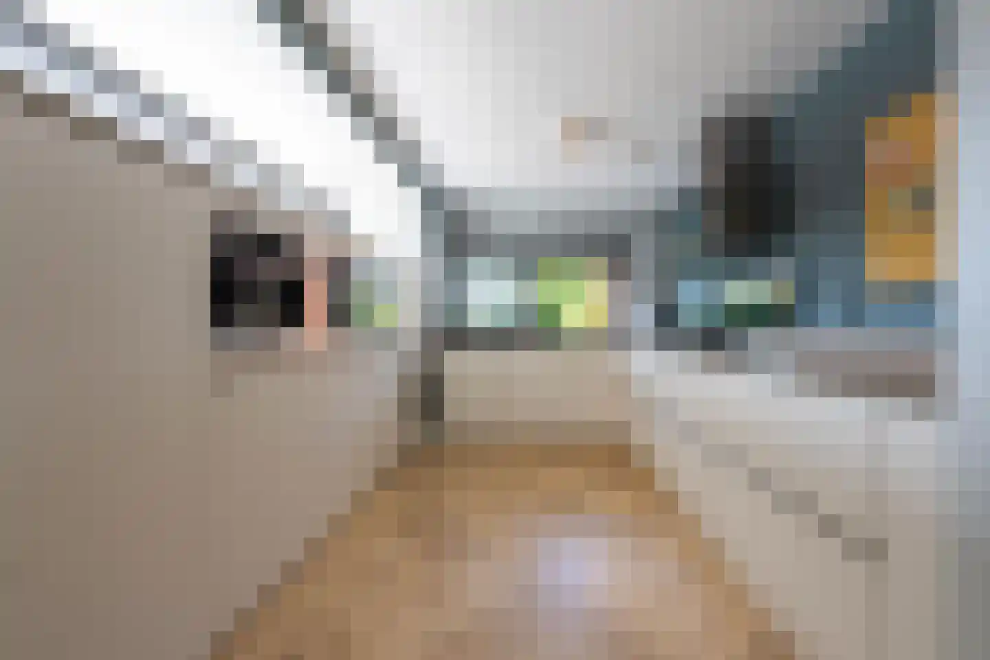 Amrum 63 Zaandam thumbnail 8
