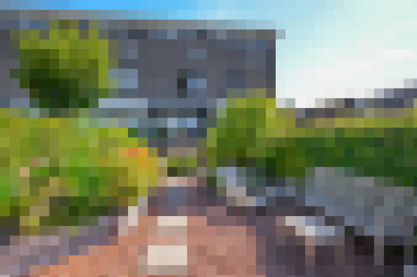 Amrum 68 Zaandam thumbnail 31