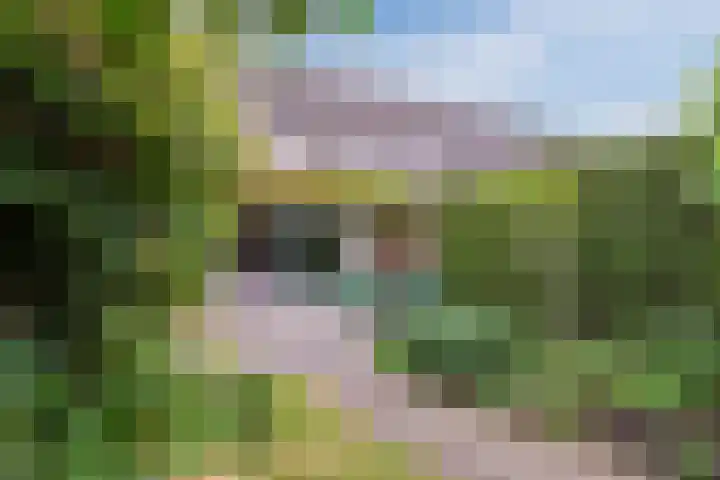 Amrum 8 Zaandam thumbnail 23