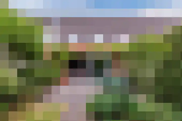 Amrum 8 Zaandam thumbnail 4