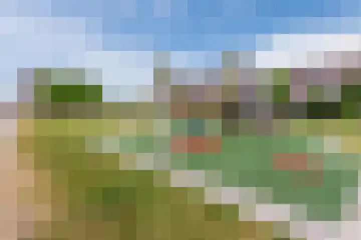 Amrum 8 Zaandam thumbnail 44