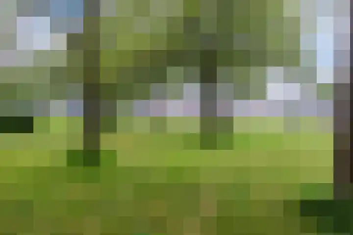 Amrum 8 Zaandam thumbnail 45