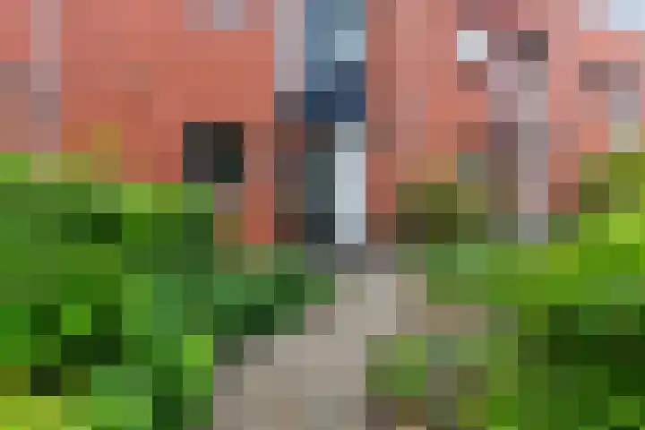 Amrum 8 Zaandam thumbnail 7
