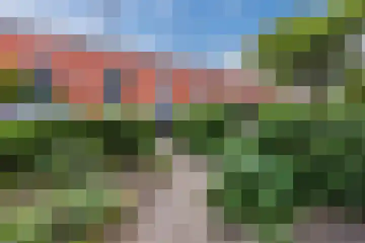 Amrum 8 Zaandam thumbnail 8