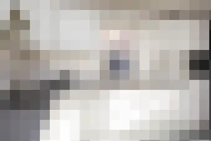 Amsinksweg 18 Vasse thumbnail 15