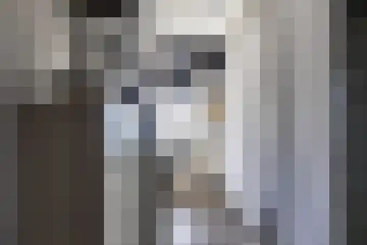 Amsinksweg 18 Vasse thumbnail 16