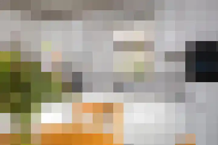 Amsinksweg 18 Vasse thumbnail 16