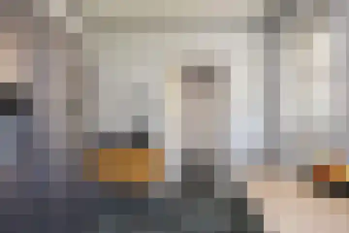 Amsinksweg 18 Vasse thumbnail 19