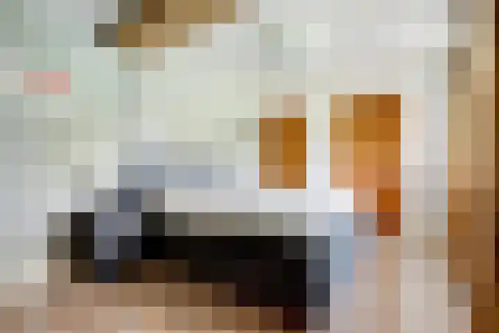Amsinksweg 18 Vasse thumbnail 25