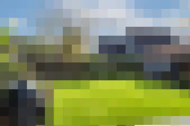 Amsinksweg 18 Vasse thumbnail 35