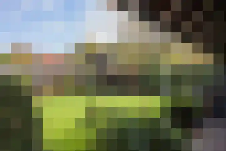 Amsinksweg 18 Vasse thumbnail 37