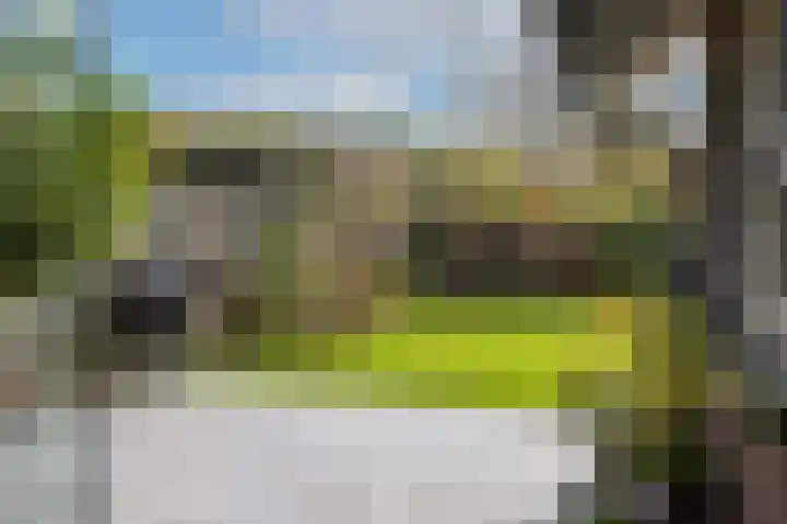 Amsinksweg 18 Vasse thumbnail 39