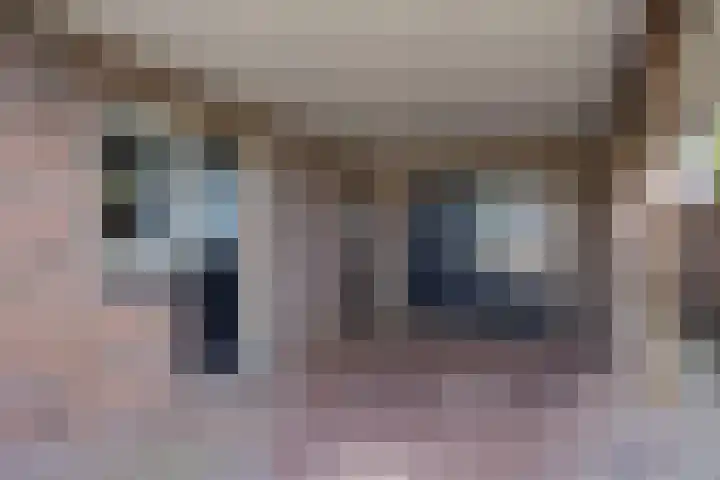 Amsinksweg 18 Vasse thumbnail 4