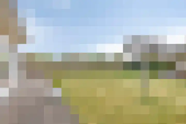 Amsinksweg 25 Vasse thumbnail 11
