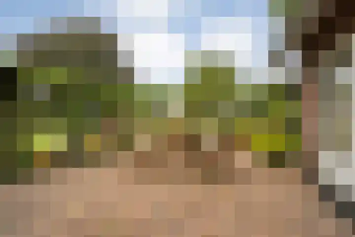 Amsinksweg 25 Vasse thumbnail 16