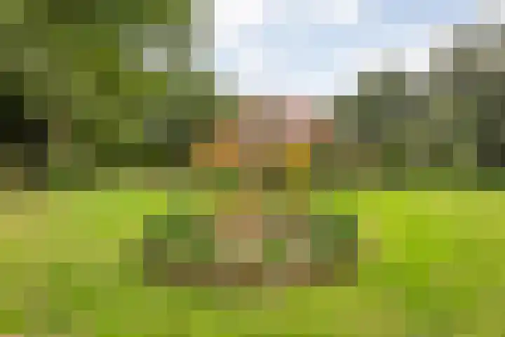 Amsinksweg 25 Vasse thumbnail 17