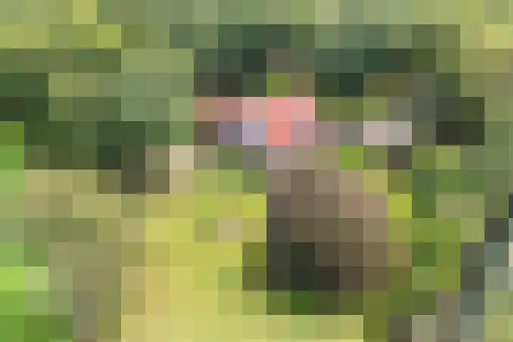 Amsinksweg 25 Vasse foto 2