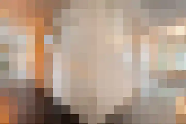Amsinksweg 25 Vasse thumbnail 20