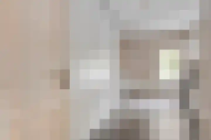 Amsinksweg 25 Vasse thumbnail 23