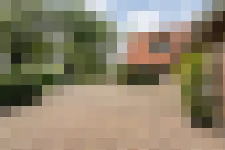 Amsinksweg 25 Vasse thumbnail 24