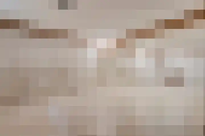 Amsinksweg 25 Vasse thumbnail 28