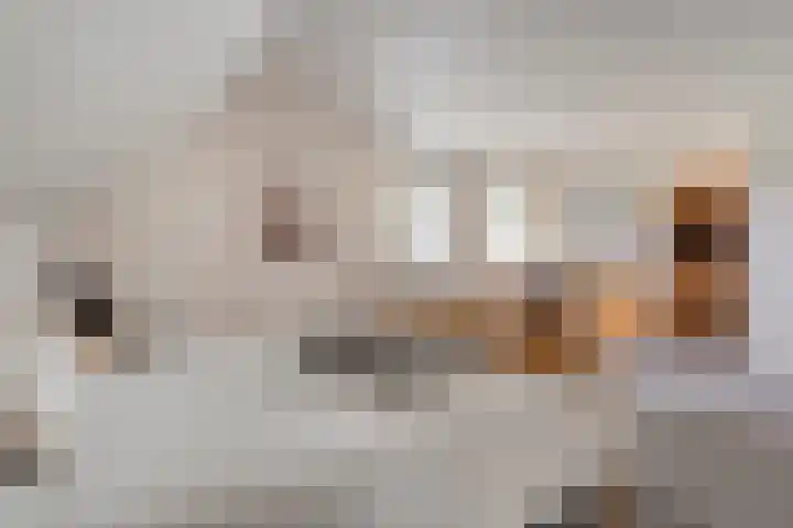 Amsinksweg 25 Vasse thumbnail 30