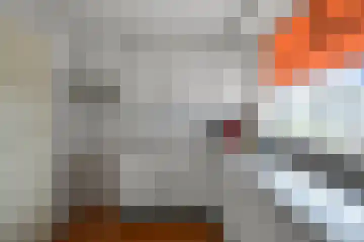 Amsinksweg 25 Vasse thumbnail 31