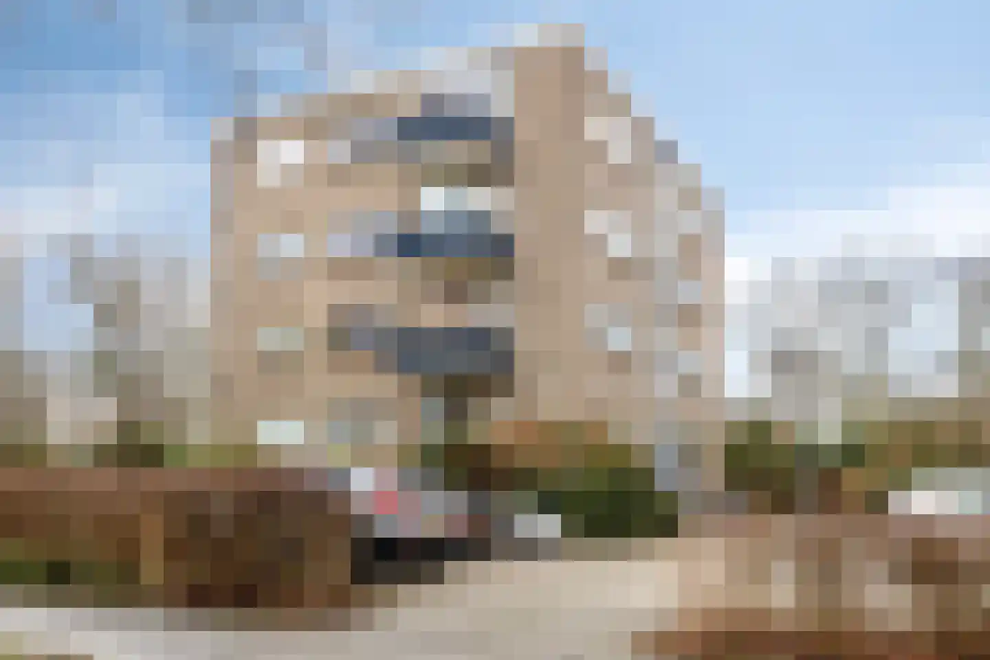 Amsinksweg 25 Vasse thumbnail 37