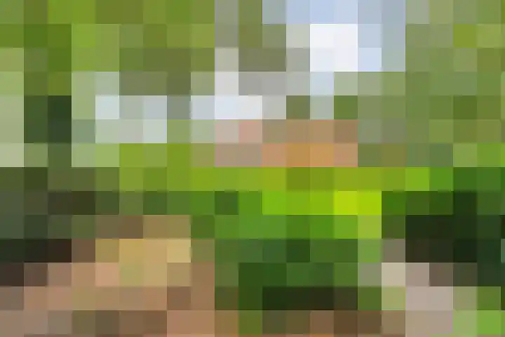 Amsinksweg 25 Vasse thumbnail 39