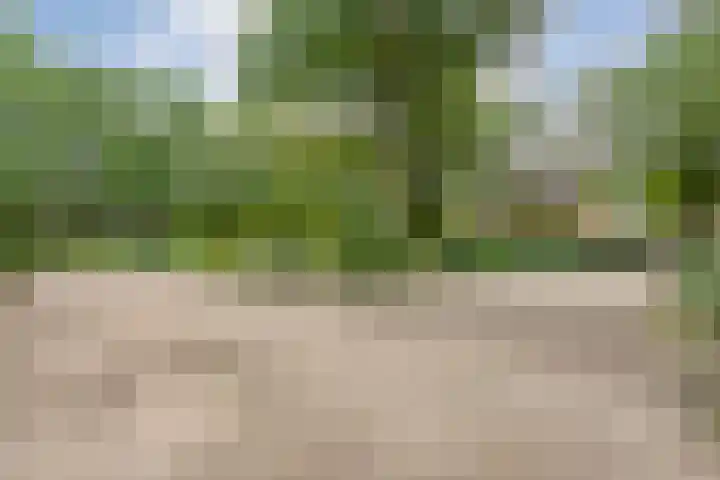 Amsinksweg 25 Vasse thumbnail 4