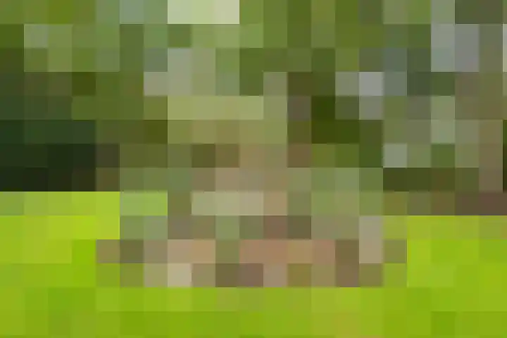 Amsinksweg 25 Vasse thumbnail 40