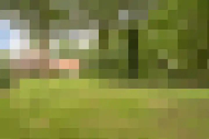 Amsinksweg 25 Vasse thumbnail 41