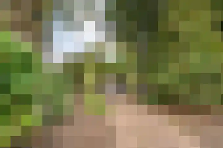 Amsinksweg 25 Vasse thumbnail 42