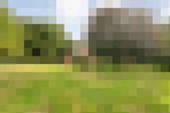 Amsinksweg 25 Vasse thumbnail 43