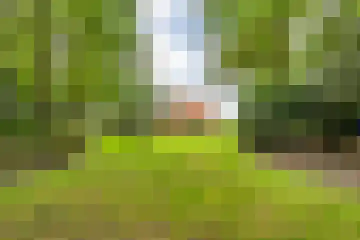 Amsinksweg 25 Vasse thumbnail 44