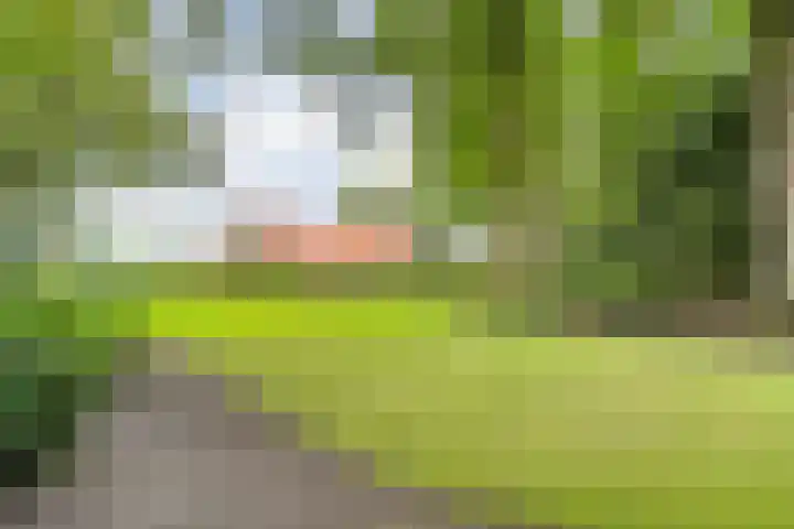 Amsinksweg 25 Vasse thumbnail 45