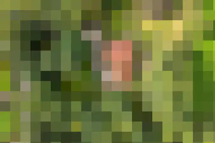Amsinksweg 25 Vasse thumbnail 46
