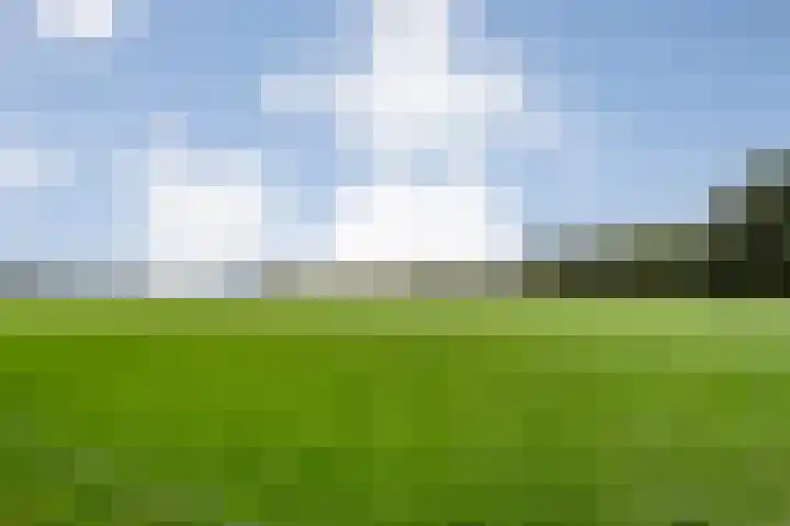Amsinksweg 25 Vasse thumbnail 47