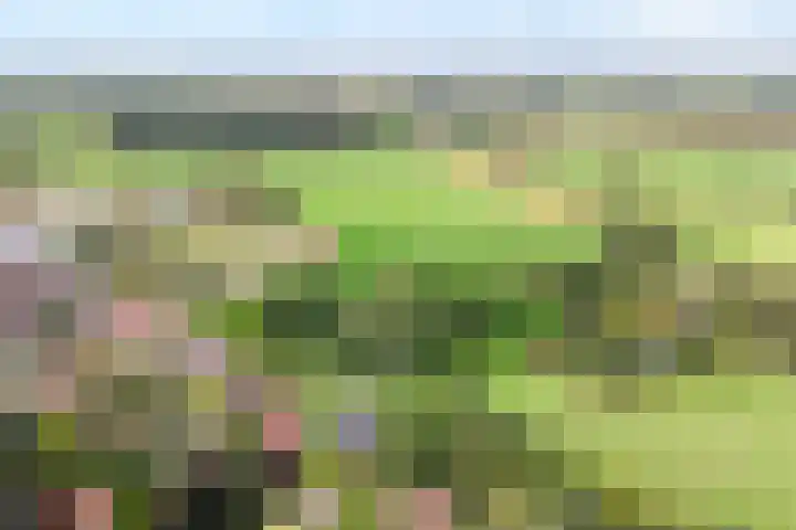 Amsinksweg 25 Vasse thumbnail 48