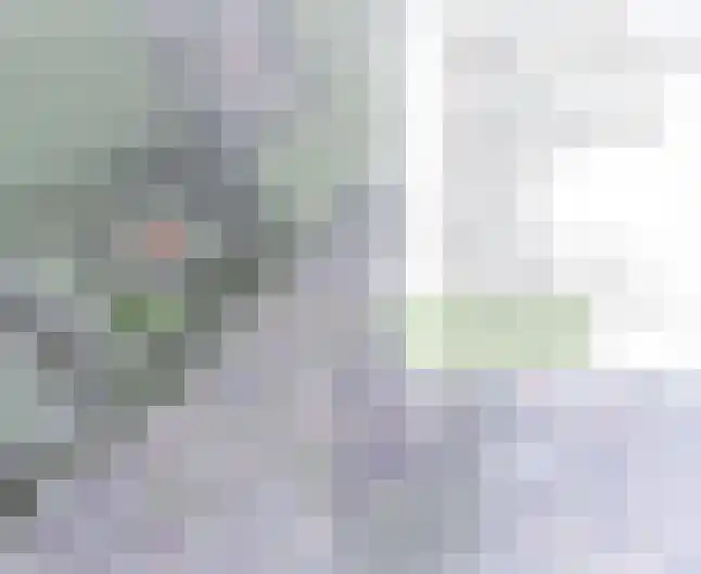 Amsinksweg 25 Vasse thumbnail 49