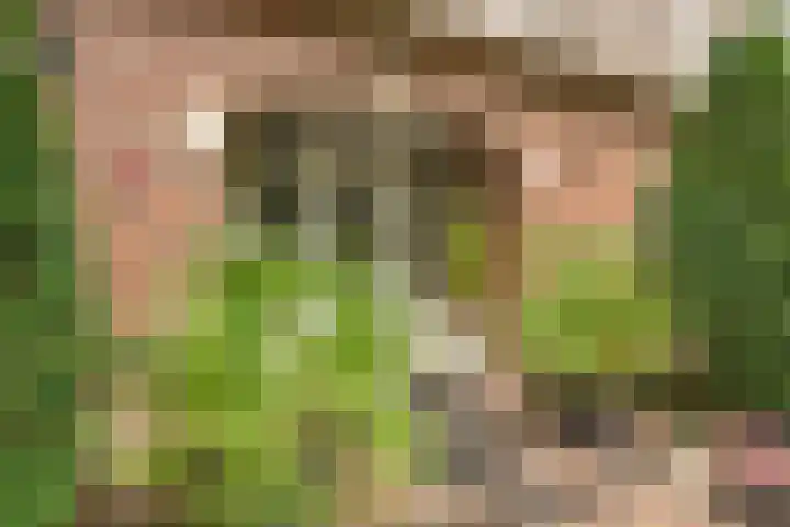 Amsinksweg 25 Vasse thumbnail 5