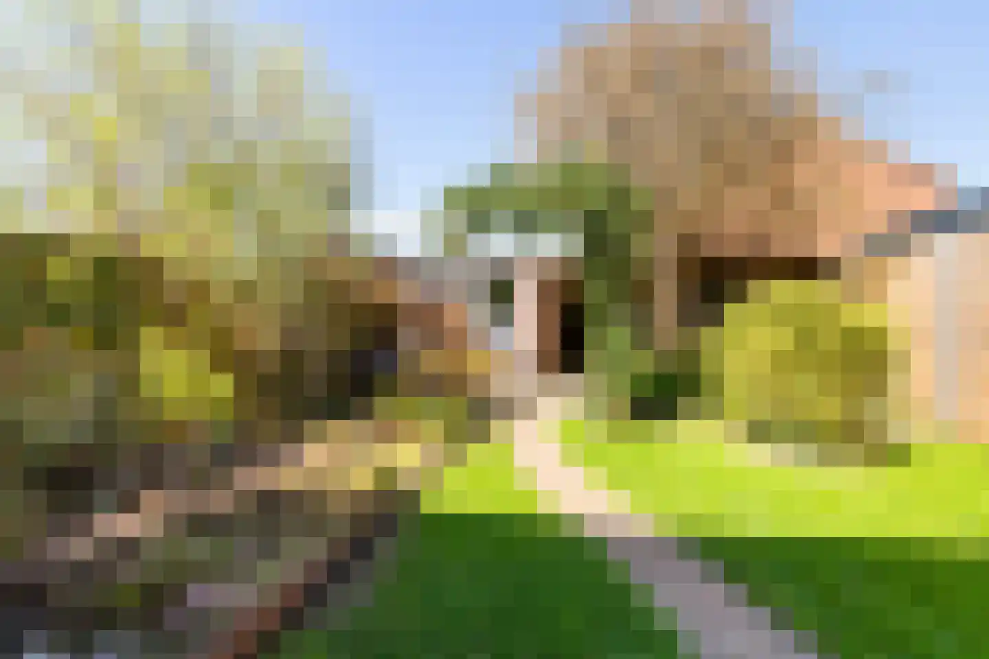 Amsivarilaan 11 Apeldoorn thumbnail 22